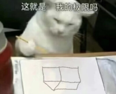 表情包