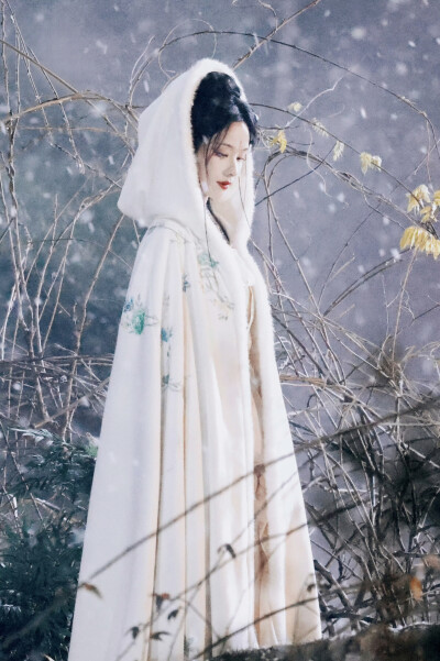 月鳞绮纪 雾妄言