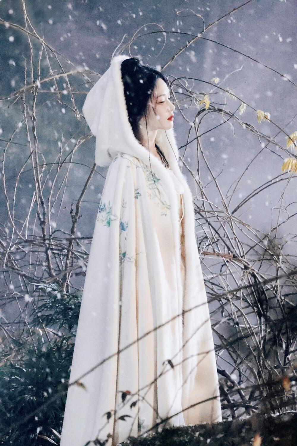 月鳞绮纪 雾妄言