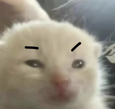表情包