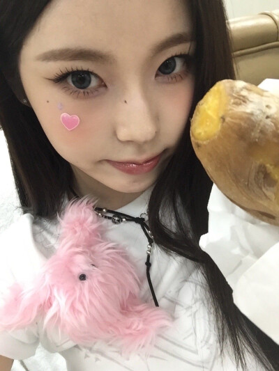 张圭真