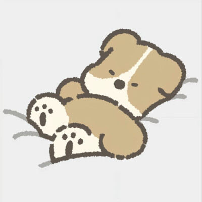 小狗柑柑无边框头像