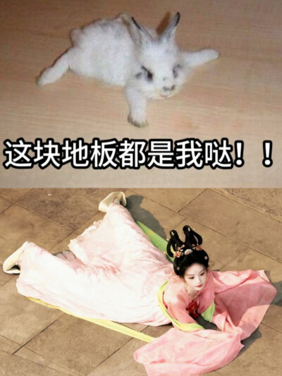 小兔叽