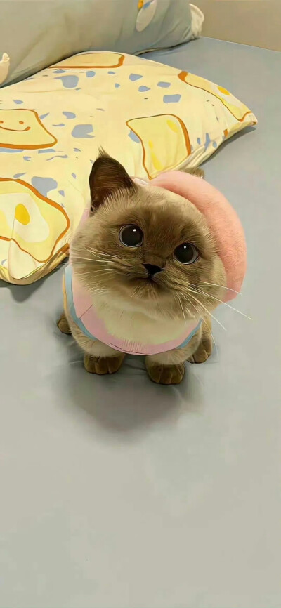 壁纸