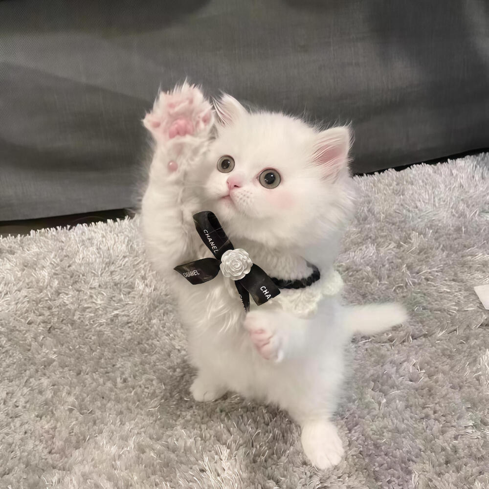 你在 我就无比开心ପ( ˘ᵕ˘ ) ੭ ☆