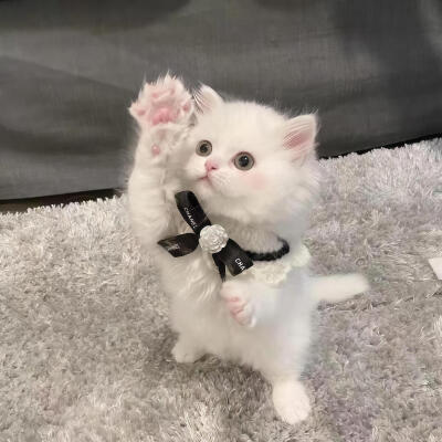 你在 我就无比开心ପ( ˘ᵕ˘ ) ੭ ☆