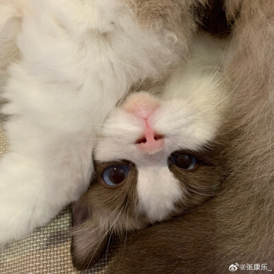 。