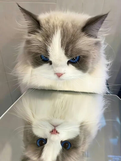 。