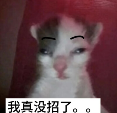 表情包