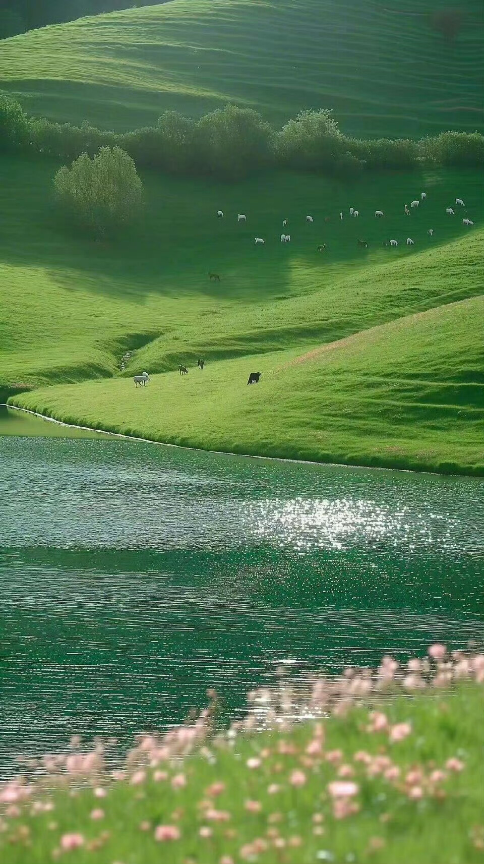 背景