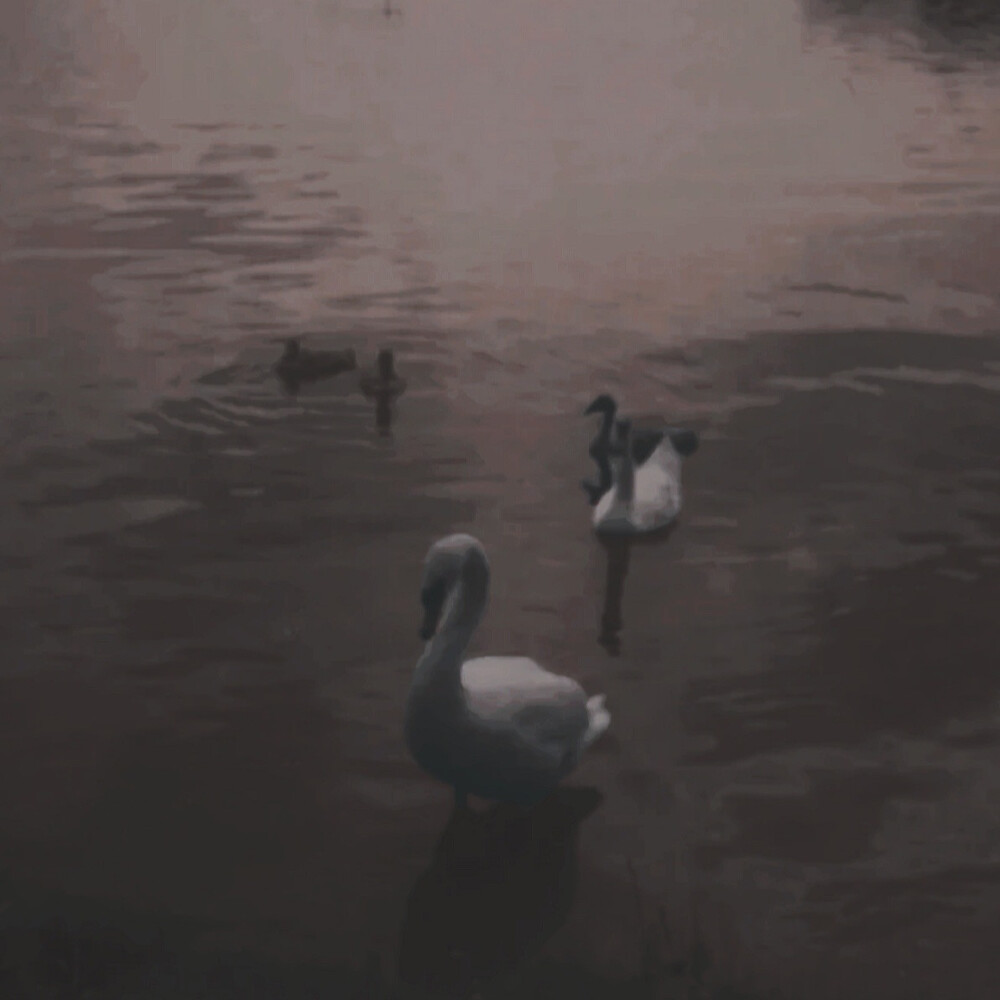 我不会再去质问你 为什么不好好回信息 也不会因为你敷衍我的信息而彻夜难眠幼稚的内耗 我的信息你想怎么回就怎么回 敷衍我也算了 我也算了不强求每个人都在演我信你 请别骗我那些承诺或许只有在爱的时候才算数 所以我也只会笑着说我知道了 若不去计较就好似一拳 打在棉花那么软绵无力 哪有什么悔愧和亏欠 好好回信息很难吗 分享很难吗 稍微站在我的角度想很难吗 但我开始回忆我也知道不如从前了 重视是相互的