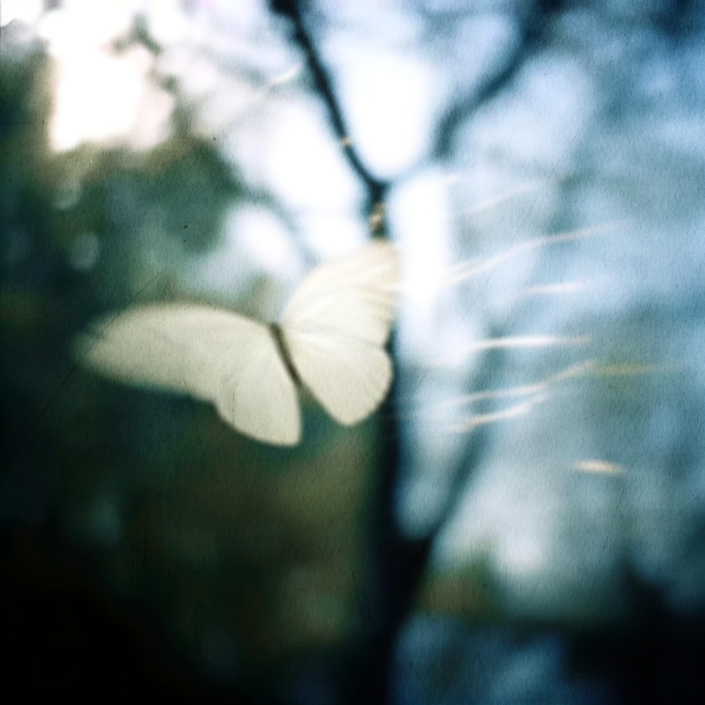 Naissance de l'univers...等待已久的花 × You