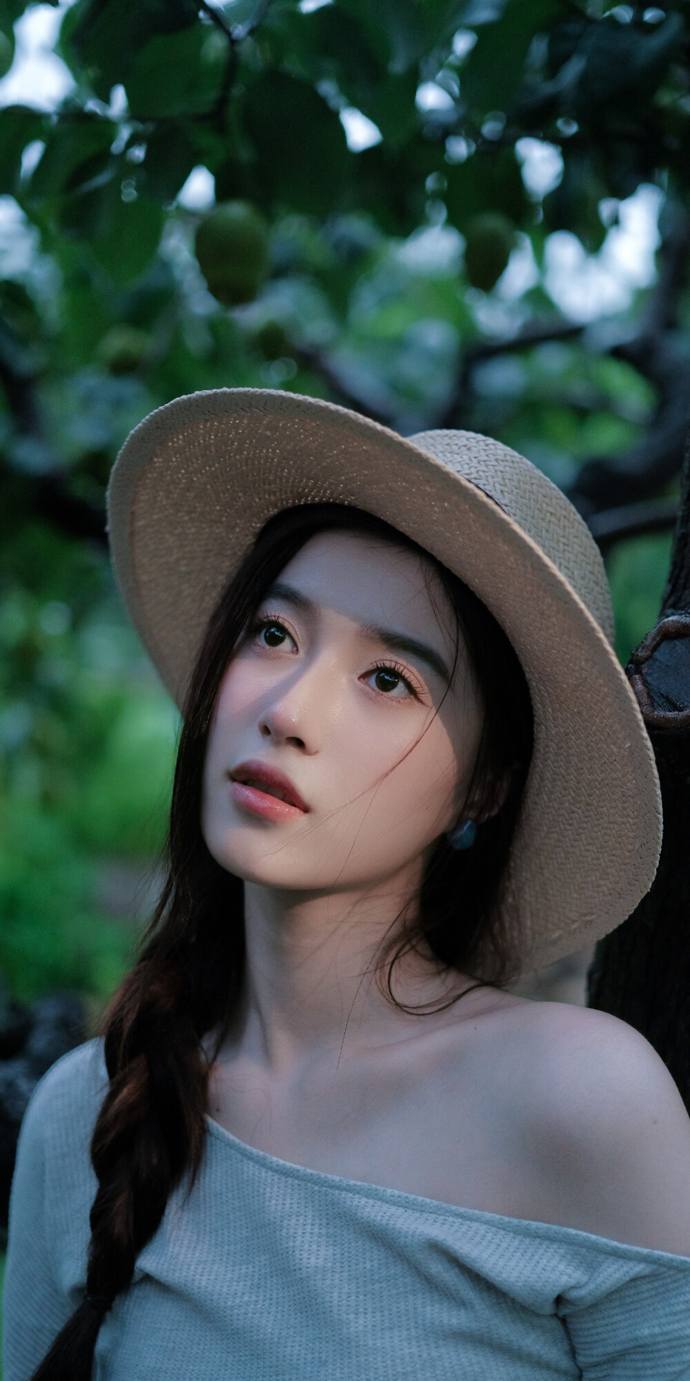 胡嘉欣
