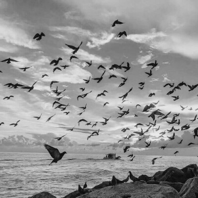 江芷送我的田姬振～