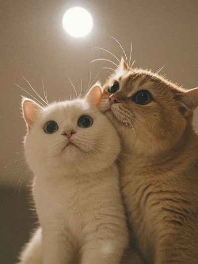 。