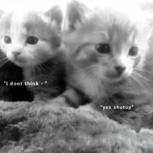 羊肉串宝宝送的(≧▽≦)