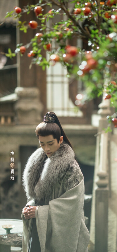 丞磊《锦月如歌》肖珏