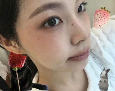 张圭真