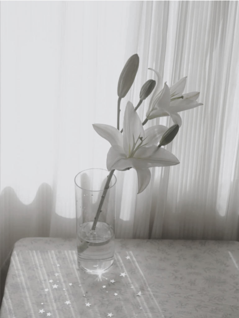 爱是一万年一瞬间