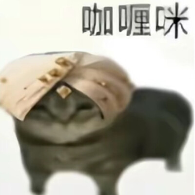 表情包