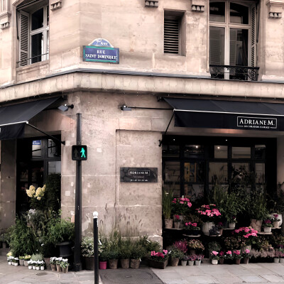 伦敦下雪那晚，那只逃走的波斯猫又回到了我的家，壁炉燃起的火焰疯长，落地钟的声响在回荡，热腾腾的红茶浸入我的身体，我们在酸涩的春天重逢。