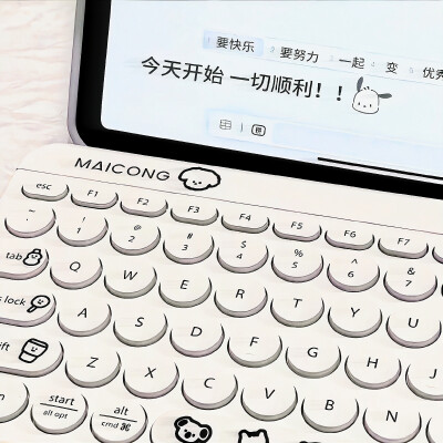 裴珠泫