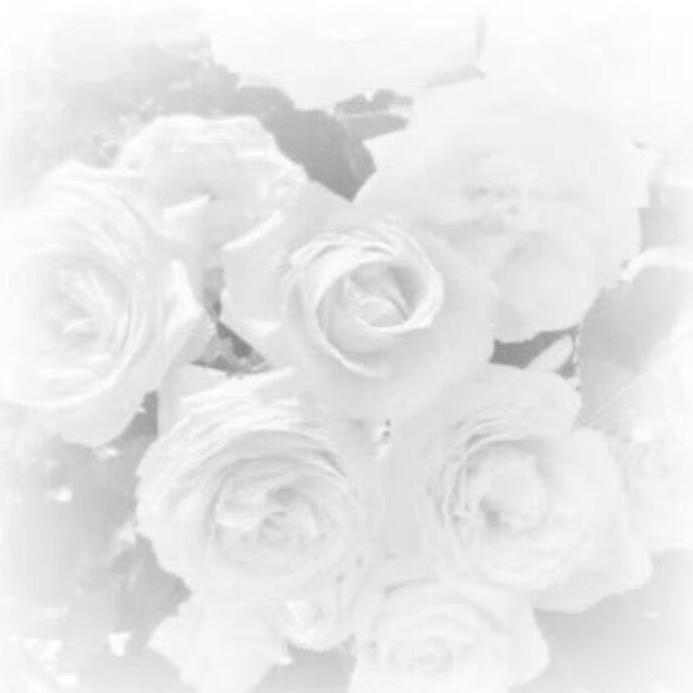 涟漪、Lettre d' amour ondulée：未寄出的情书