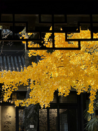 秋日背景图