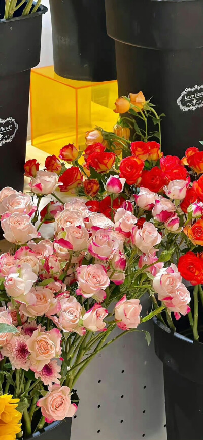 关于花的氛围感壁纸 .ᐟ.ᐟ
#小清新壁纸#