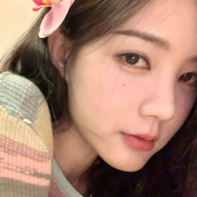 李一桐