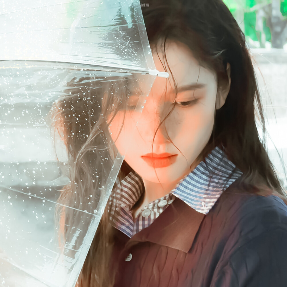 张婧仪