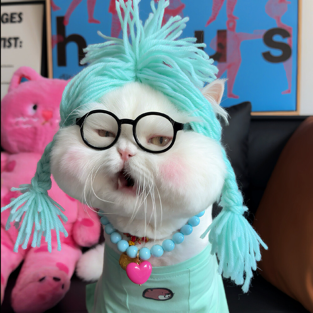 猫咪头像