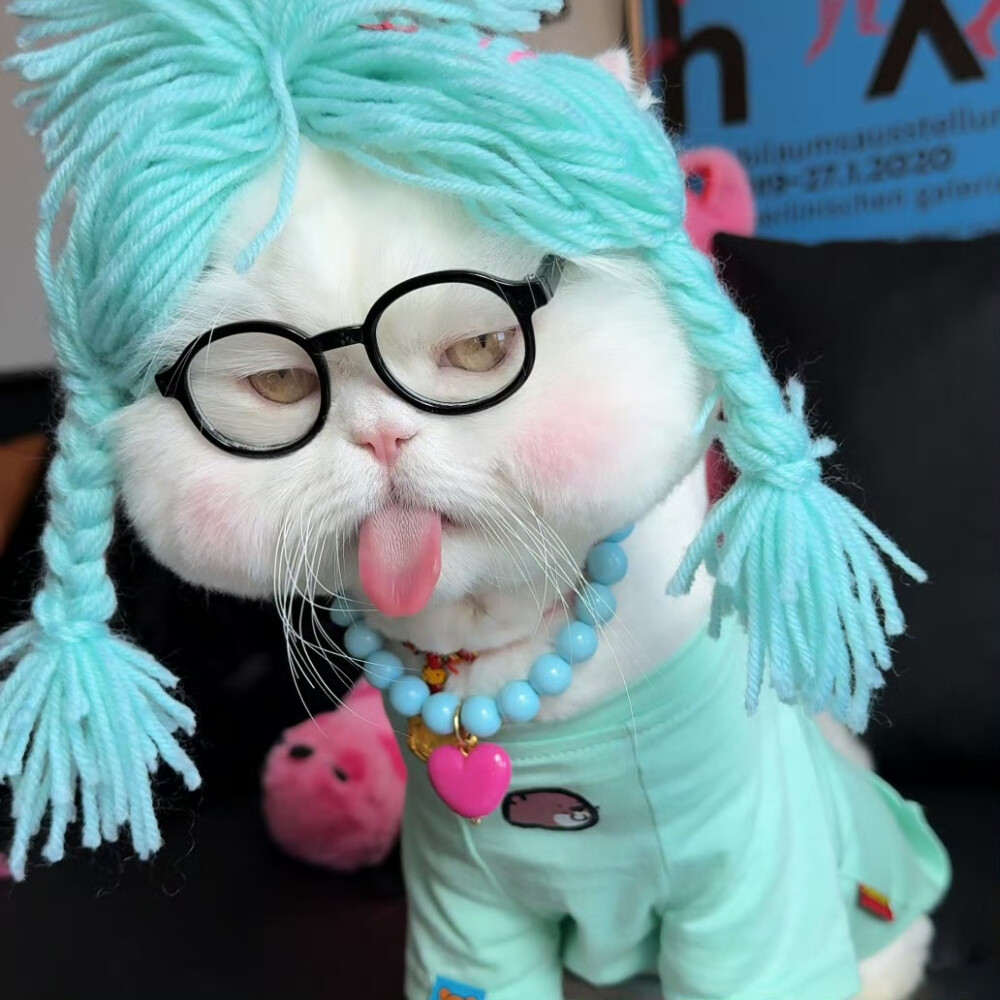 猫咪头像