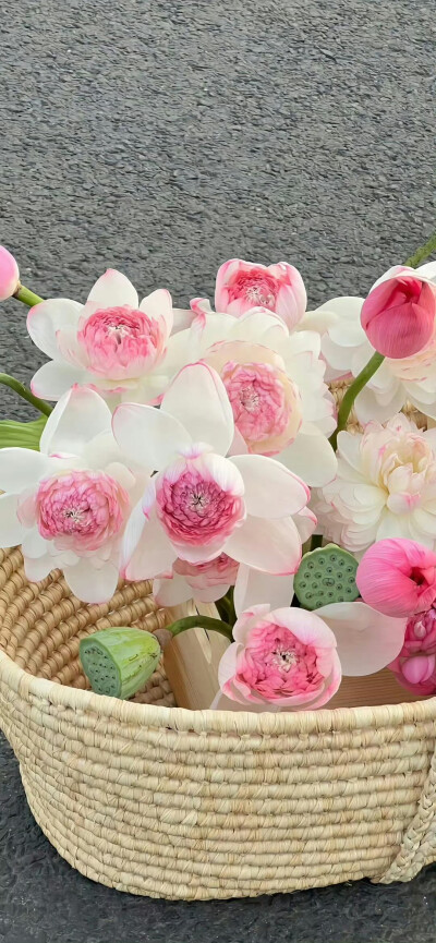 关于花的氛围感壁纸 .ᐟ.ᐟ
#小清新壁纸#