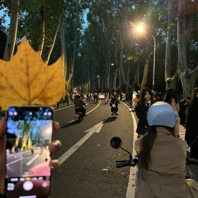 男头