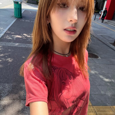 教司