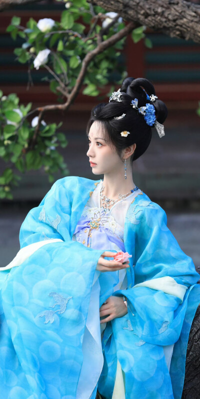 田曦薇《子夜归》武祯