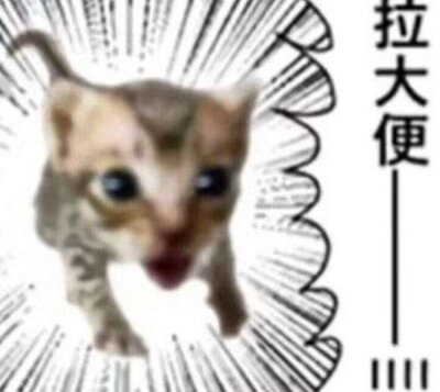 含情麦麦