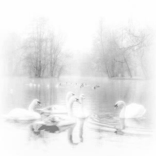 涟漪、Lettre d' amour ondulée：未寄出的情书