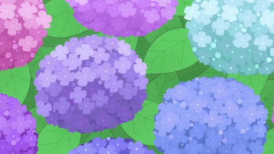绣球花