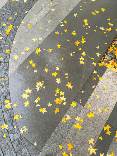 秋日背景图