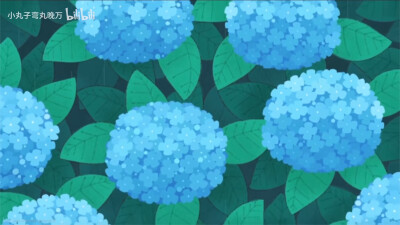 绣球花