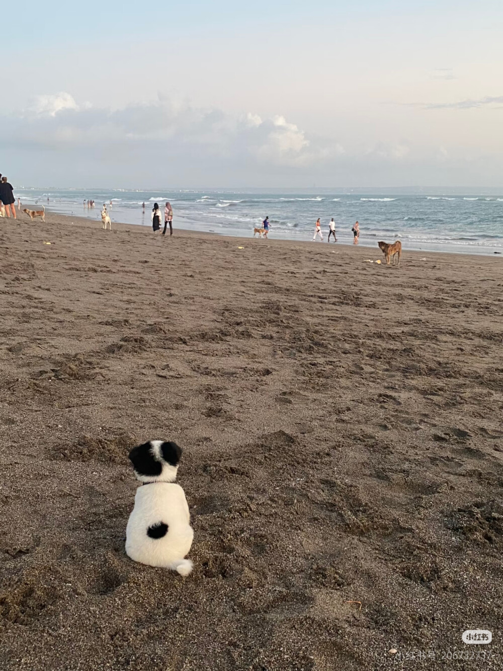 看海