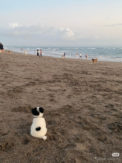 看海