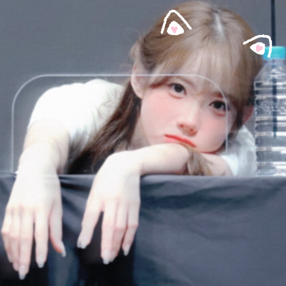 고양이의 머리♡=•ㅅ＜=)☆猫咪大王！！