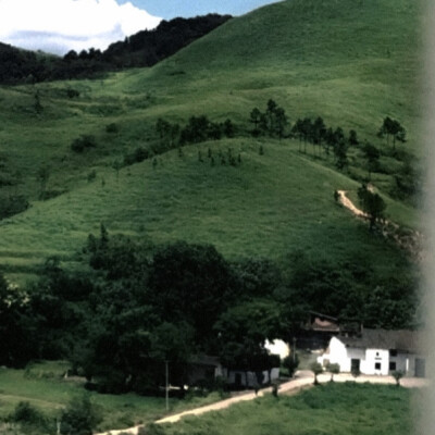 从草原到青山