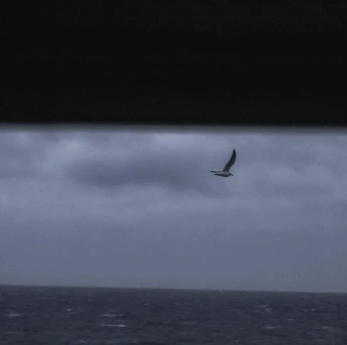 感受你的体温即使不是属于我的24小时
刘扬扬
原BUBBLETEA 文案田赴