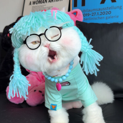 猫咪头像