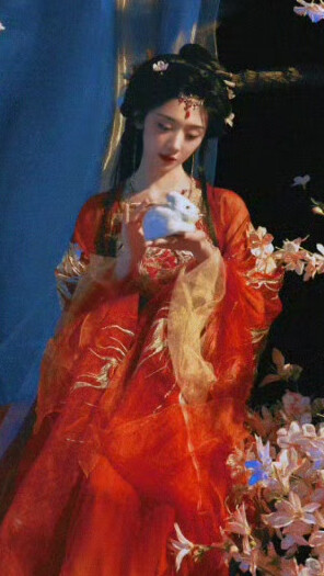 王影璐