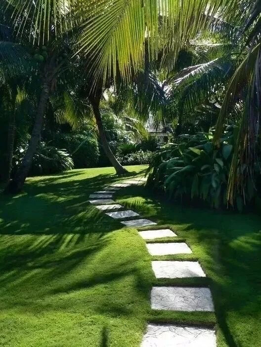 中国古典园林中就常以零散的叠石点缀于窄而浅的水面上，使人易于蹑步而行。
其名称叫“汀步”，或叫“掇步”、“踏步”，《扬州画舫录》亦有“约略”一说，日本又称为“泽飞”。  